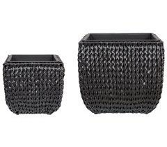 Beliani Conjunto de 2 macetas BERBERIS