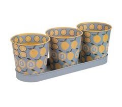 Bandeja y 3 botes de metal