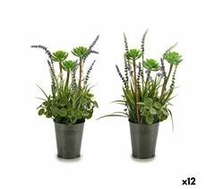 Planta Decorativa