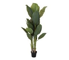 Maceta Latia round MIDL