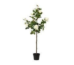 Planta articial ROSA marca EVERLANDS FLOWERS AND PLANTS