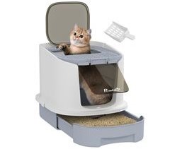 Arenero para Gatos PawHut