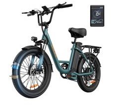 Bicicleta Eléctrica URLIFE E20 - Motor 250W 48V 13Ah