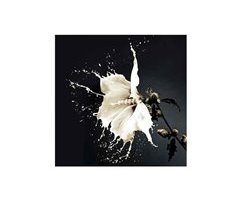 Fotografía Impresa Cristal Serie Splash