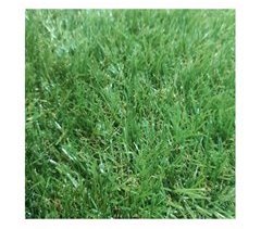 Cesped Artificial| Suave| Mullido| Jardin| Sintético