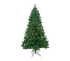 Árbol de Navidad Canadá Dayron