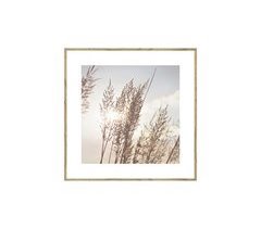 Cuadro HOJAS DE TRIGO 35x35cm marca MARCOMUEBLE 