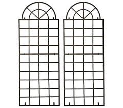 Set de 2 vallas metálicas viva para plantas trepadoras