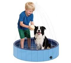 Piscina para Perros PVC, PE PawHut