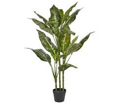 Beliani Planta artificial DIEFFENBACHIA