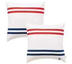 Cojines 100% Algodón El Ganso