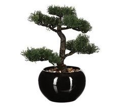 WELL HOME - Bonsai artificial en maceta de cerámica