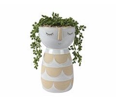 Planta BRISEIDA marca EVERLANDS