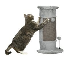 Rascador para Gatos Aglomerado de Madera PawHut