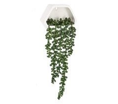 WELL HOME - Planta colgante de pared contemporánea