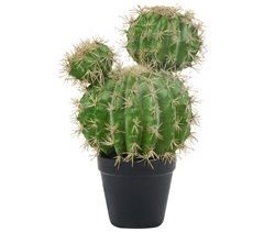 Beliani Planta artificial BALL CACTUS