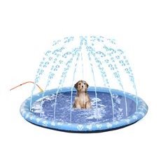 Splash Pad para Mascotas PVC PawHut