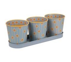 Bandeja y 3 botes de metal