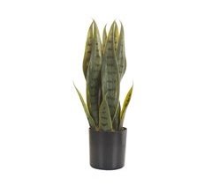 Beliani Planta artificial SNAKE PLANT