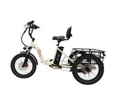 Bicicleta Eléctrica de Tres Ruedas ONESPORT OT30 - Motor 500W