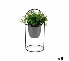 Planta Decorativa