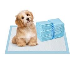 Empapadores para Perros Tela no Tejida PawHut