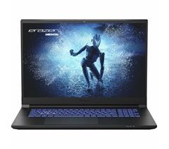 Notebook Erazer Defender P40