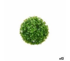 Planta Decorativa