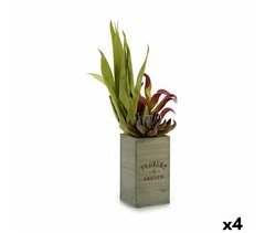 Planta Decorativa Flowers Garden