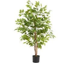 Árbol de ficus artificial