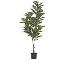 Beliani Planta artificial FICUS ELASTICA