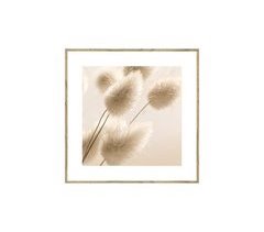 Cuadro PLANTA 35x35cm marca MARCOMUEBLE 