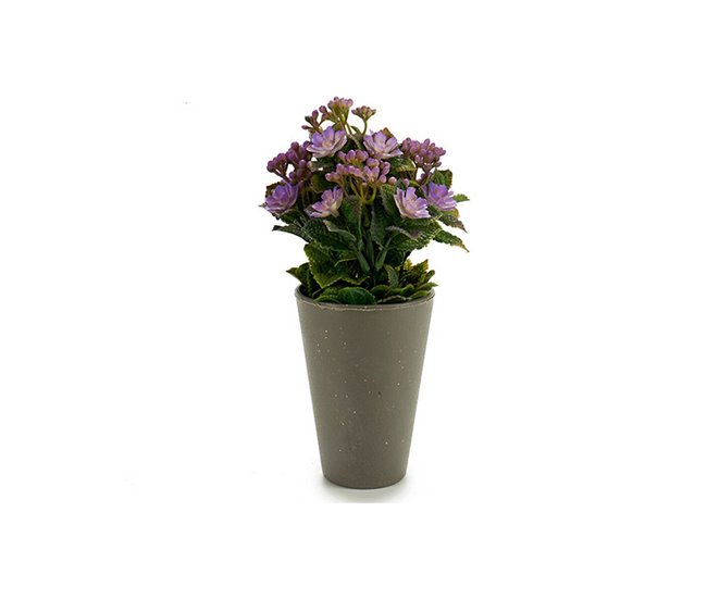 Planta Decorativa 55287 Blanco