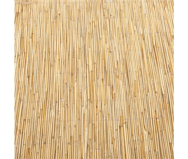 Cañizo Abbateggio para ocultación caña 