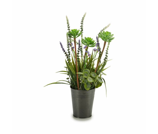 Planta Decorativa Verde