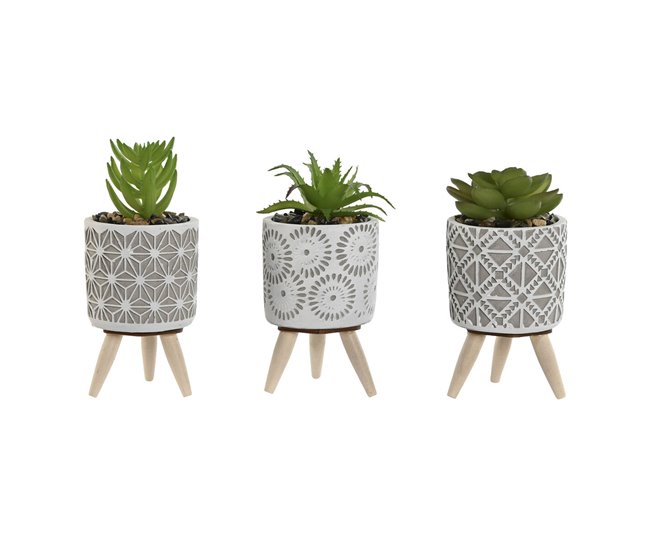 Planta Decorativa Verde