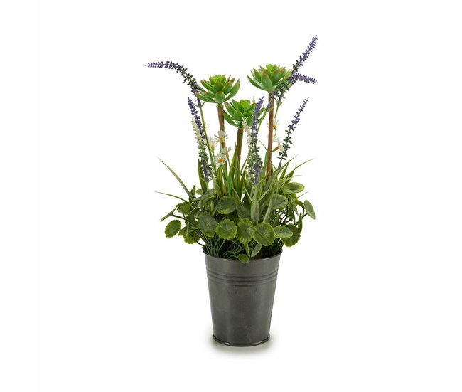 Planta Decorativa Verde