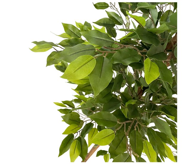 Acomoda Textil – Planta Artificial con Macetero (Ficus) Verde