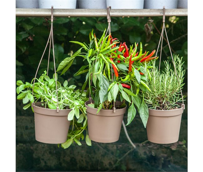 5 Macetas cilíndricas Ø 10 cm con ganchos Antracita