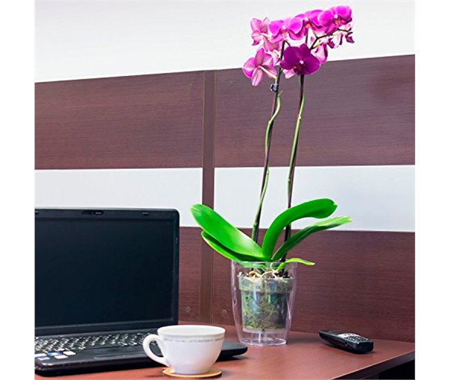 2x Macetero orquídea de plastico Coubi Orchid Transparente