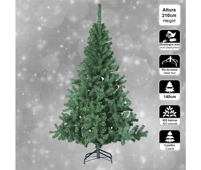 Elegante abeto Verde