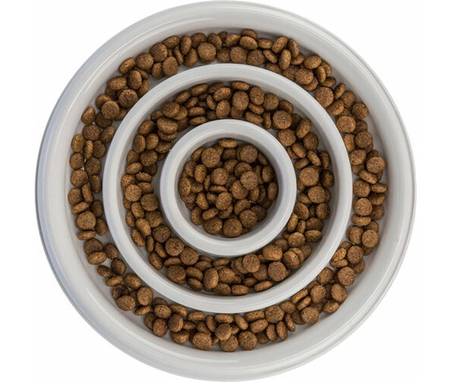 Comedero para Perro Slow Feeding Gris
