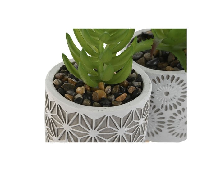 Planta Decorativa Verde