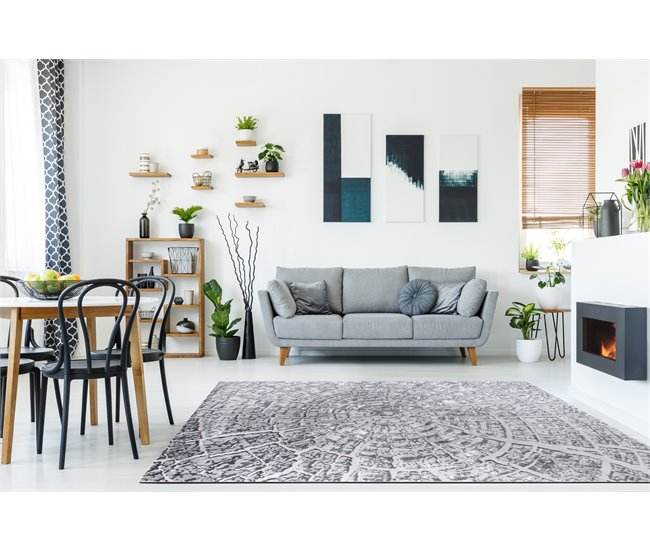 Alfombra MEFE moderna 6185 Árbol Madera Structural dos niveles 120x170 Gris