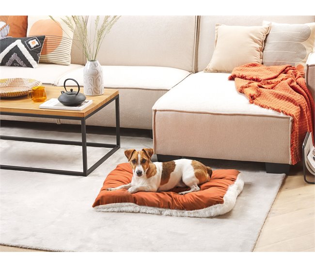 Beliani Cama para mascotas ERGANI Naranja