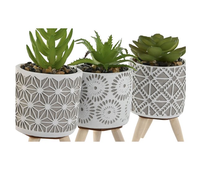 Planta Decorativa Verde