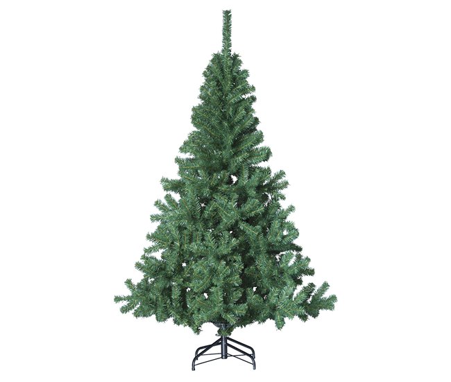 Elegante abeto Verde