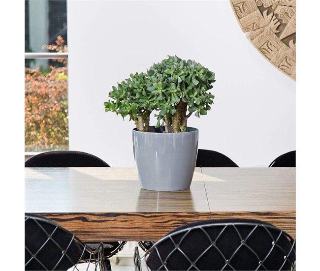 Macetero Magnolia 250 Mm - Blanco Gris