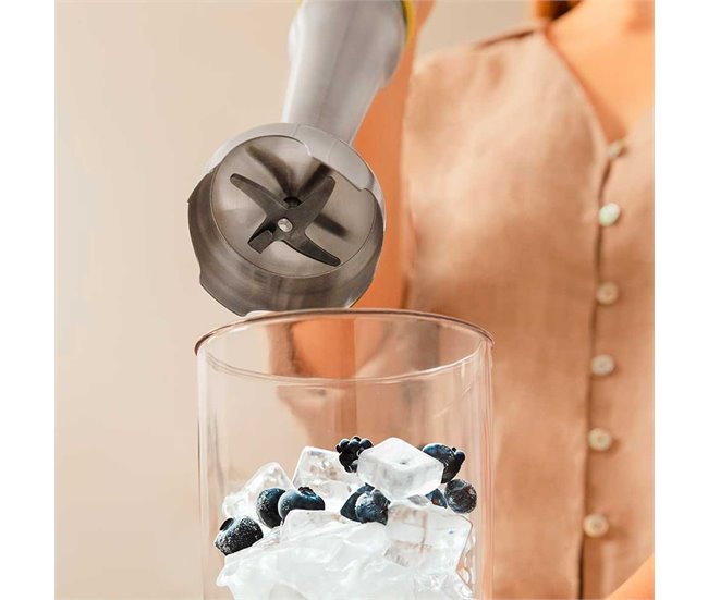 Cecotec Batidora de mano Batidora de mano Katana 15 Jar G Inox