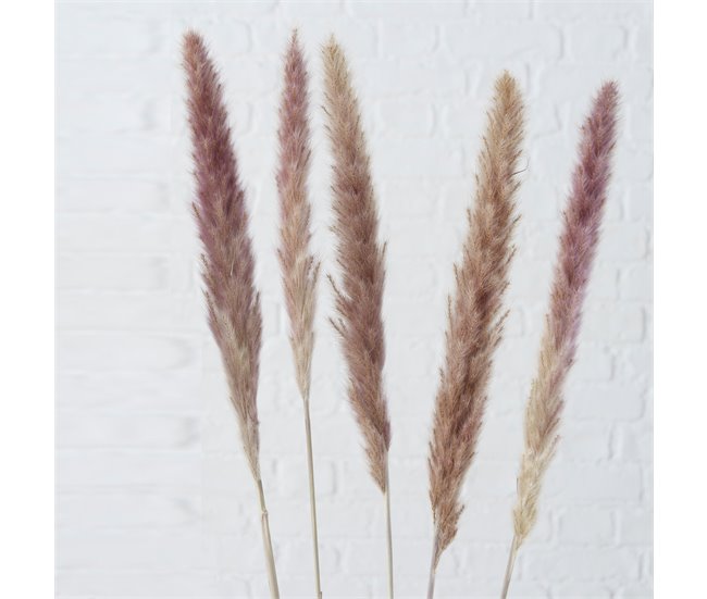 Ramillete floral PAMPA natural 85cm marca BOLTZE  Natural
